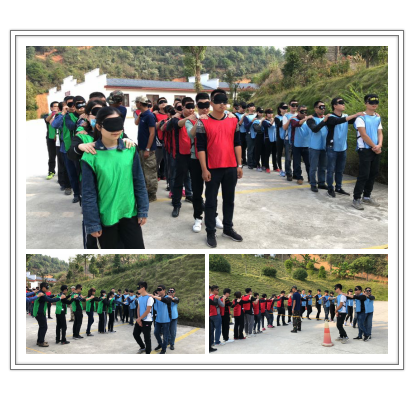 新西蘭智閣板材 新西蘭智閣板材