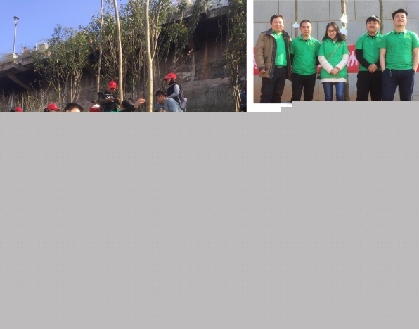 “新西蘭智閣板材”